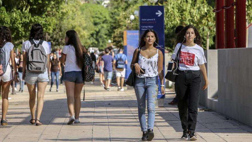 Vecinos de La Florida movilizan a la ciudad para implantar el grado de Medicina en Alicante