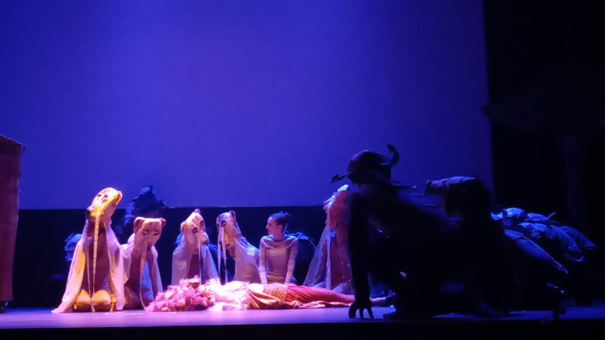 El musical 'El rey León' del grupo de teatro del Colegio Escolapias Santa Engracia de Zaragoza llega a Monzón.