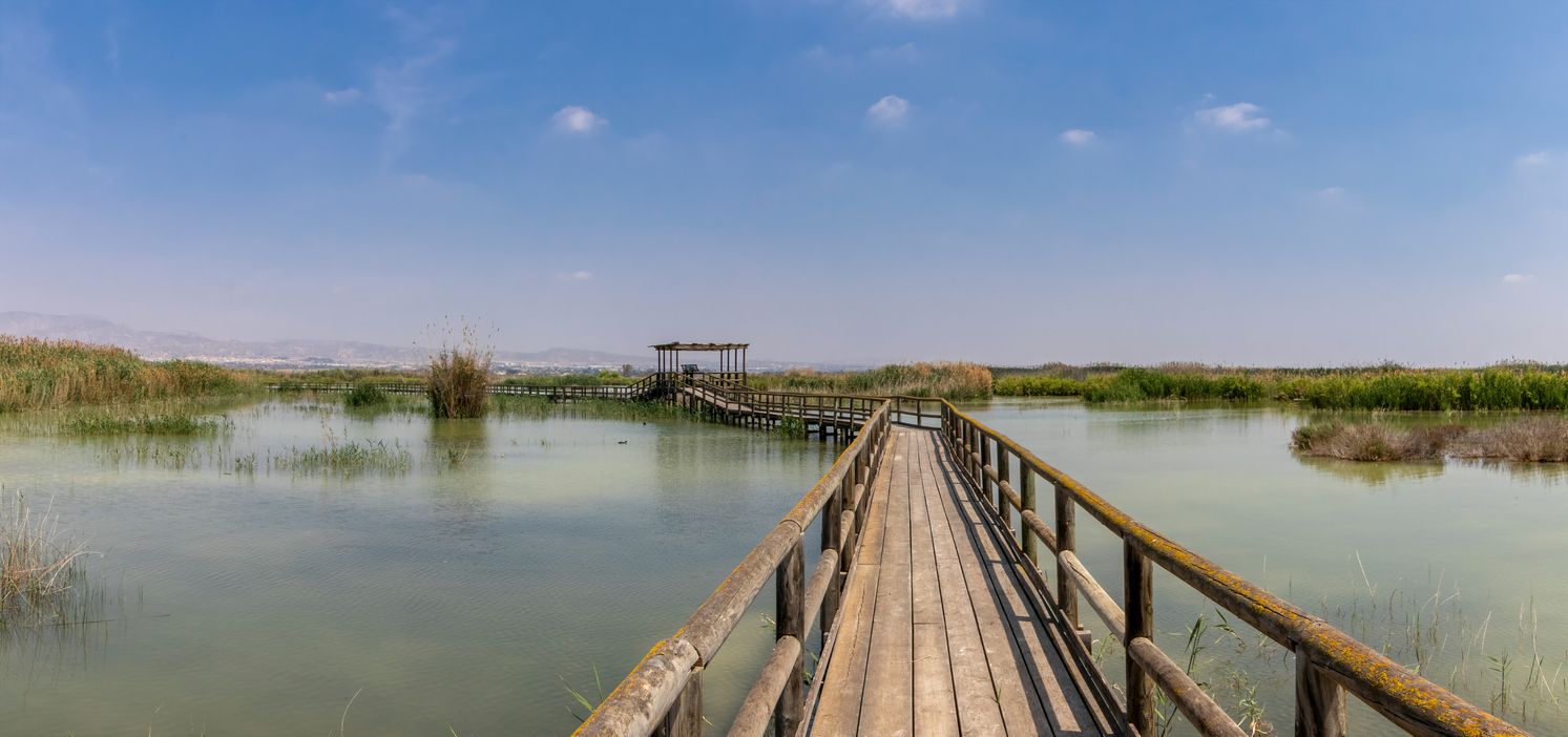 Pasarela del Parque Natural El Hondo, Elche