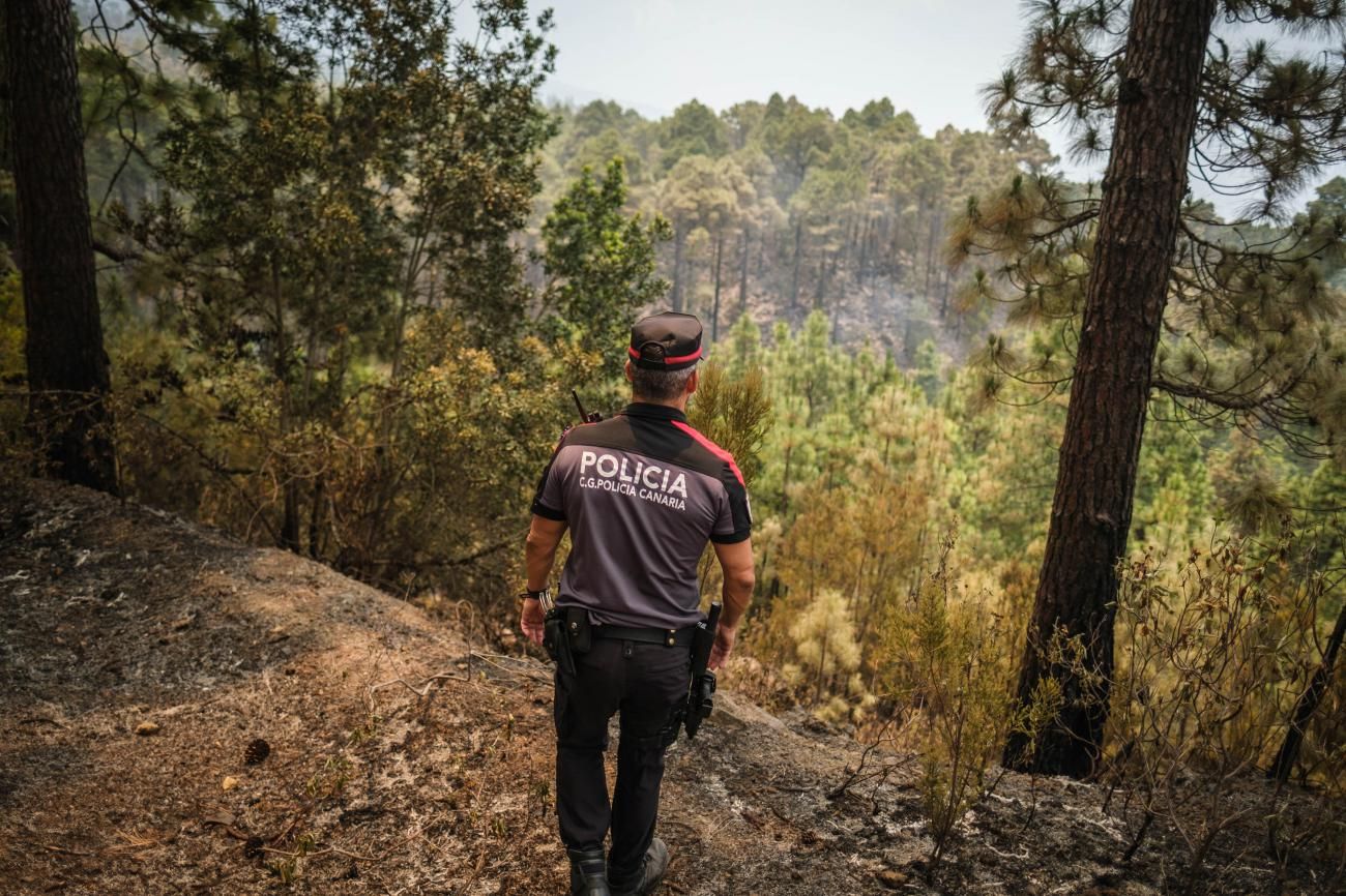 Actuación de la UME en el segundo día del incendio del Norte de Tenerife