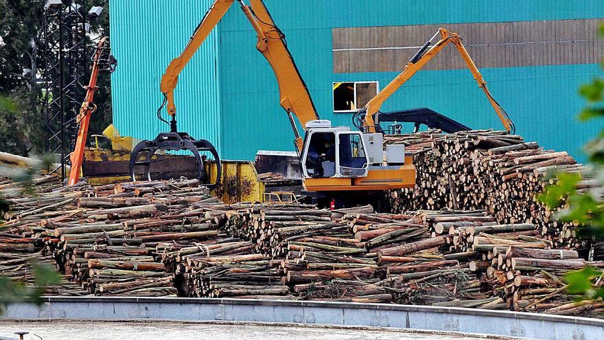 El sector forestal gallego sufrió una caída del 17% en su facturación por la pandemia