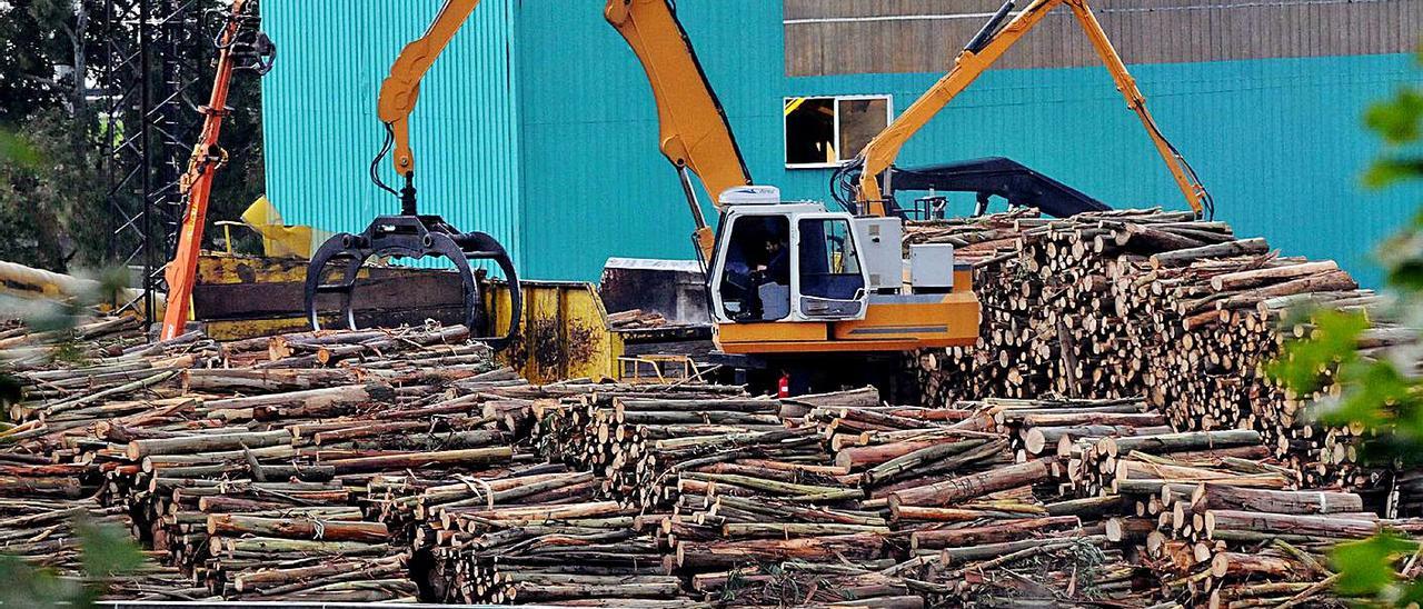 Máquinas trabajando con madera en el recinto de Ence en Pontevedra. |   // RAFA VÁZQUEZ