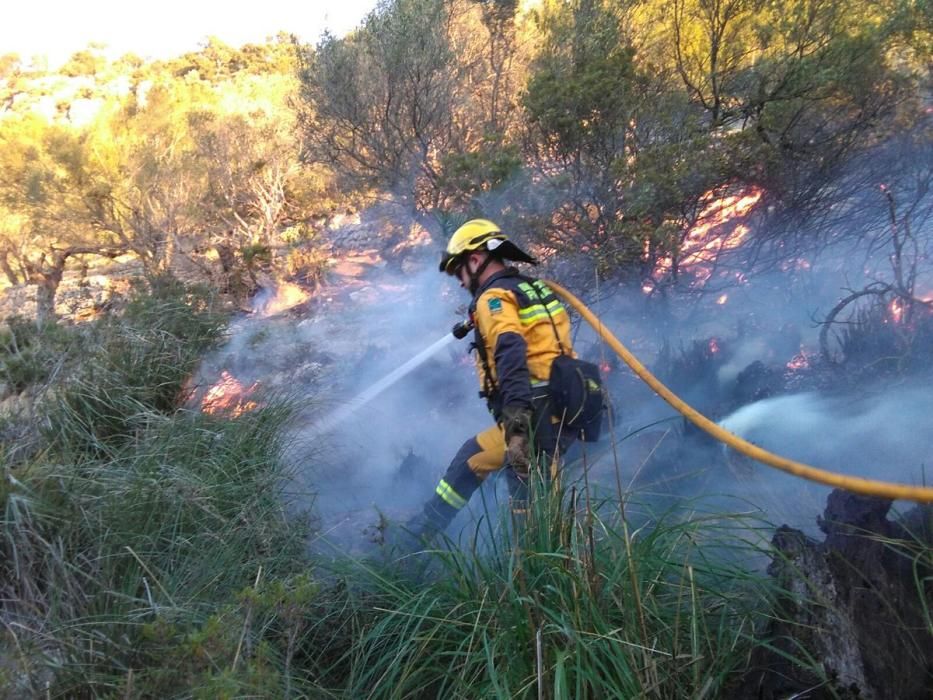 Un incendio forestal quema diez hectáreas en el Puig de Maria, una de pinar