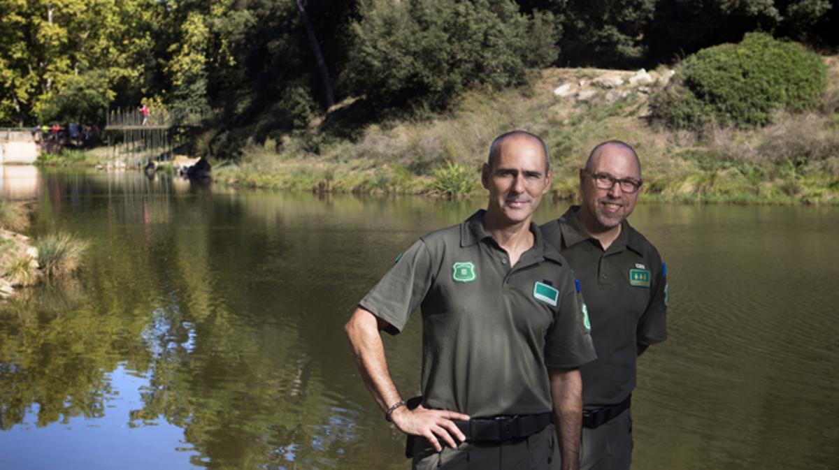 Los agentes rurales recomiendan no darles de comer y pedir ayudar si encuentran alguno.