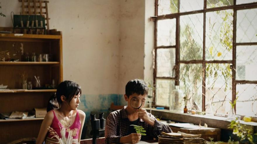 Fotograma de la película ‘Blind Love’, el primero de los diez largometrajes que se proyectan en la sección oficial del Festival de Cine de Las Palmas. | LP/DLP