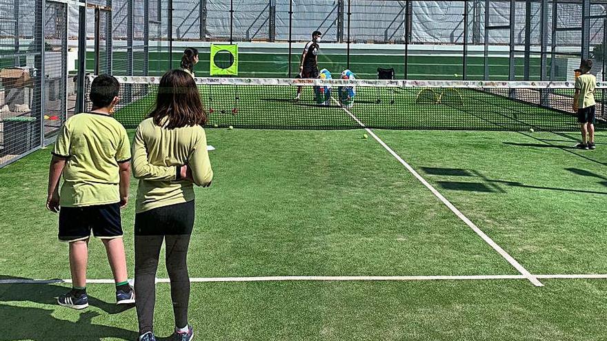 Alzira acerca el pádel a 500 niños | LEVANTE-EMV