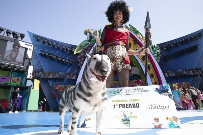 24.02.19. Las Palmas de Gran Canaria. Carnaval 2019. Concurso Carnaval Canino 2019. Eva León, presenta a Milka, con la fantasía " Desde la selva más salvaje llegan Milka y Eva a disfrutar del Carnaval Carioca. Foto Quique Curbelo