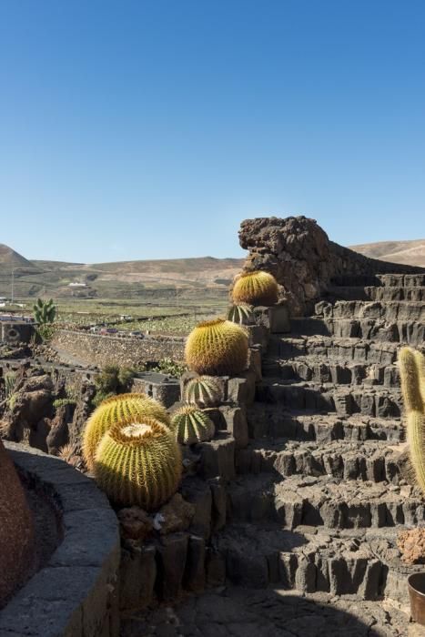 El Puente de diciembre en Lanzarote