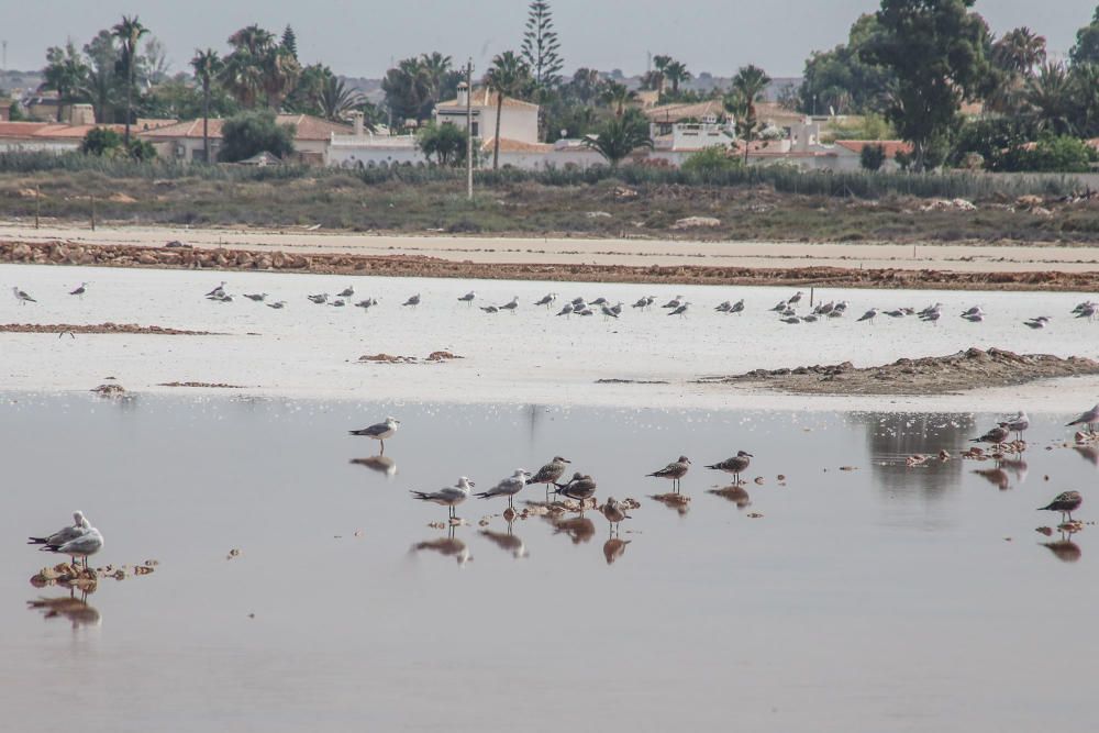 Grupo Salins ha puesto en marcha los itinerarios turísticos al interior de la salinera esta semana