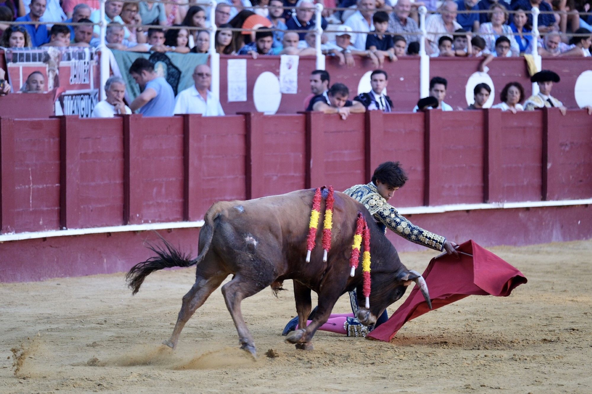 Las imágenes de la segunda semifinal del XV Certamen Internacional de Escuelas Taurinas