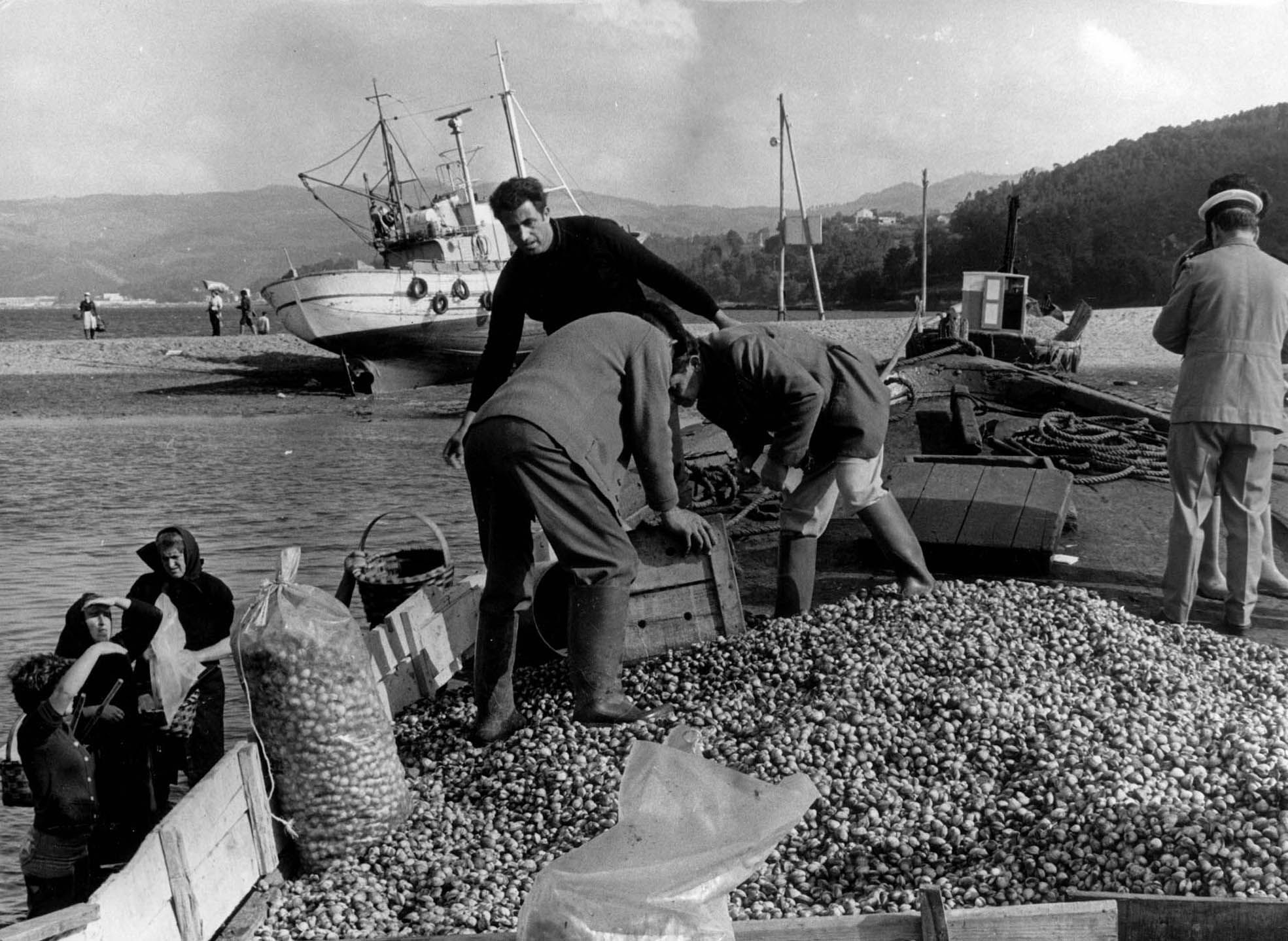 Recogida de almeja en Vigo en 1978