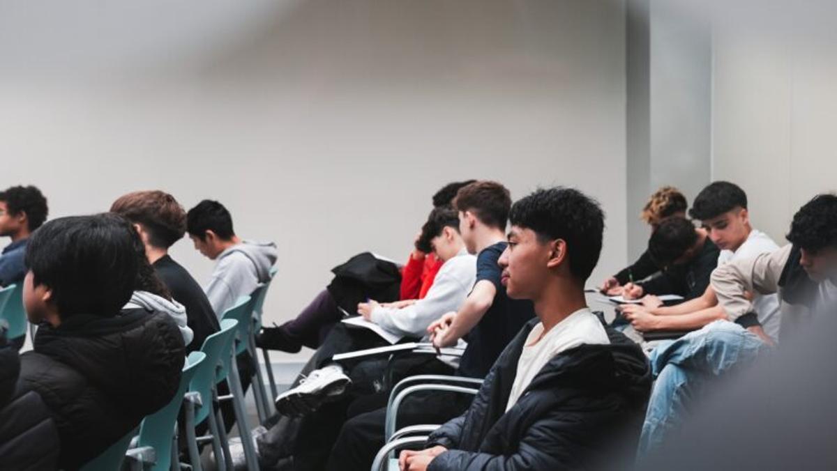 Servicio de asesoría profesional para jóvenes