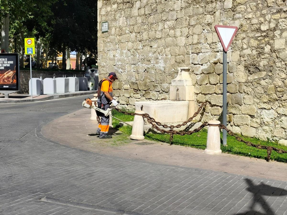 Jardinero del servicio municipal de Lucena.