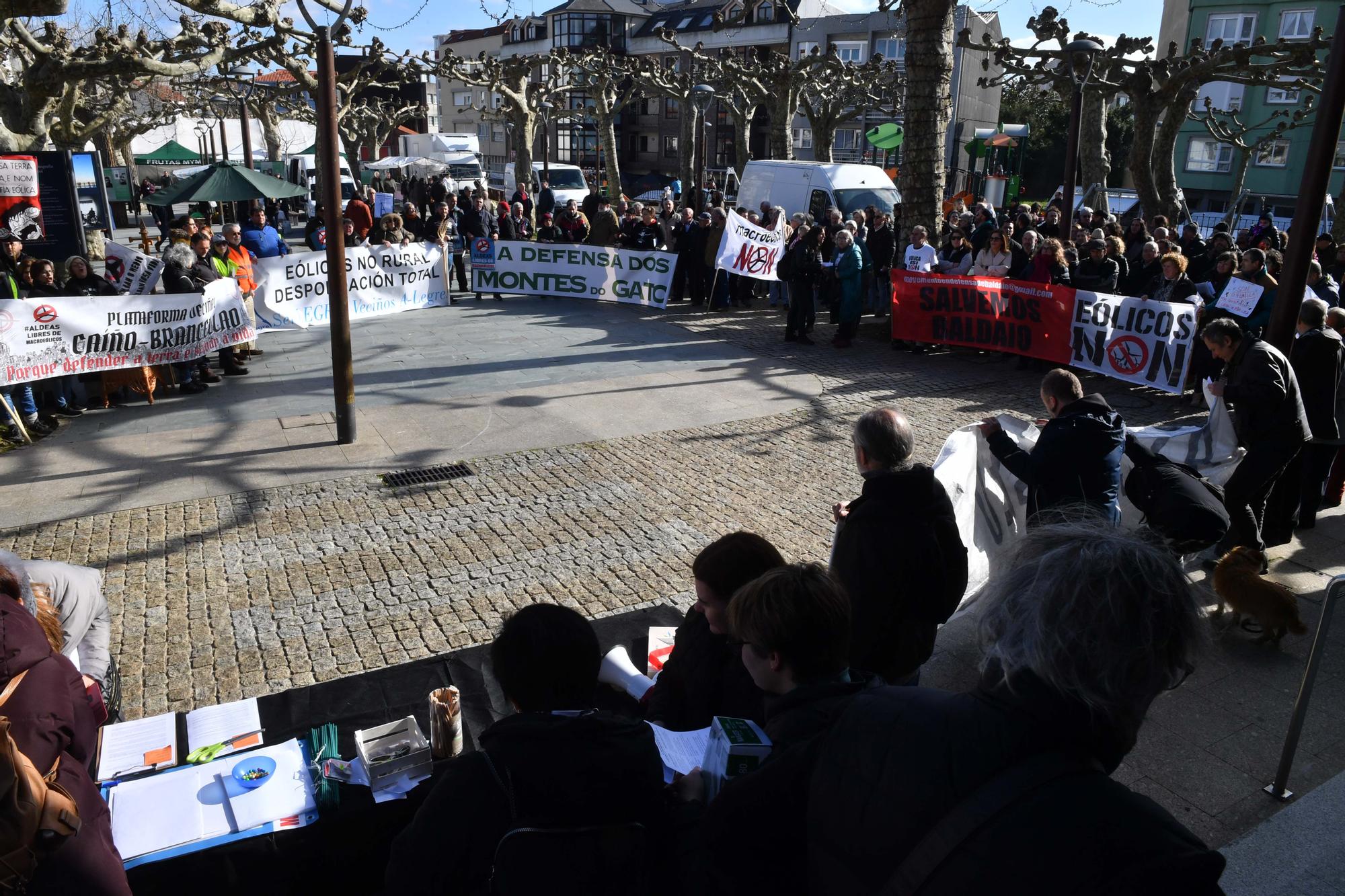 Marcha el Carral contra la "invasión eólica"