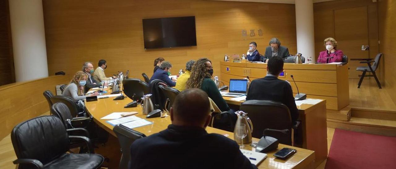 Comisión parlamentaria de Medio Ambiente, celebrada hoy en las Cortes.