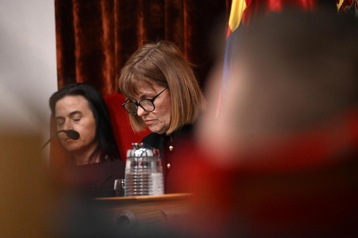 Aurora Rodil lee unas notas durante el pleno