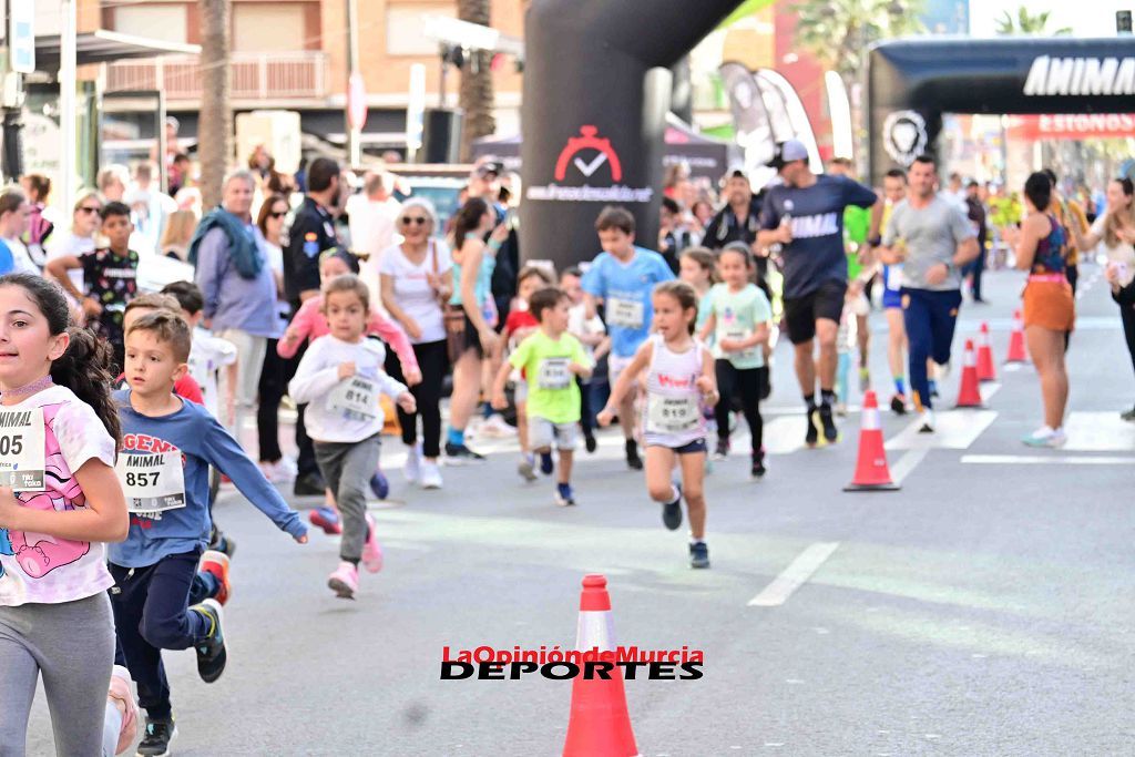 Carrera 5k Animal en Los Alcázares 2024 (I)