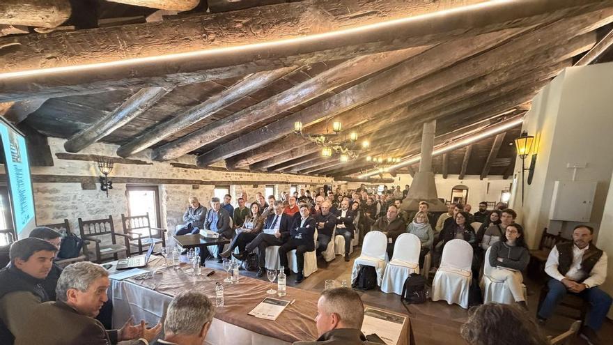 El futuro de la cabra montés en Aragón pasa por la cooperación y la innovación tecnológica