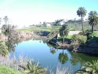 El esplendor del barranco de Tamaraceite