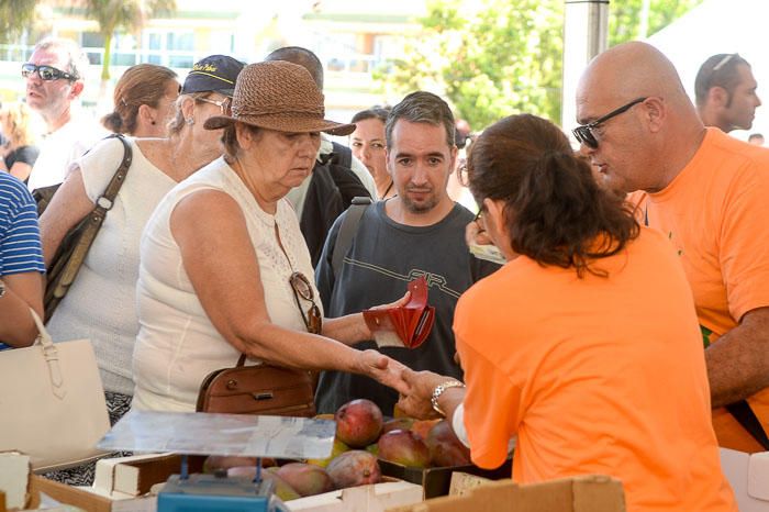 II FERIA MANGO Y AGUACATE