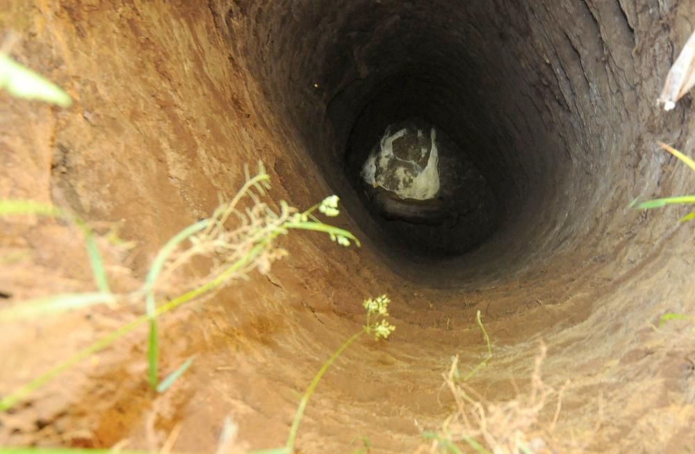 Un rescate que puede salvar otras vidas