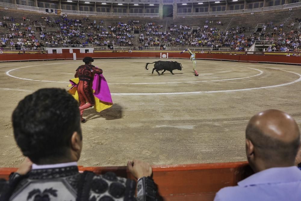 Toros en Palma