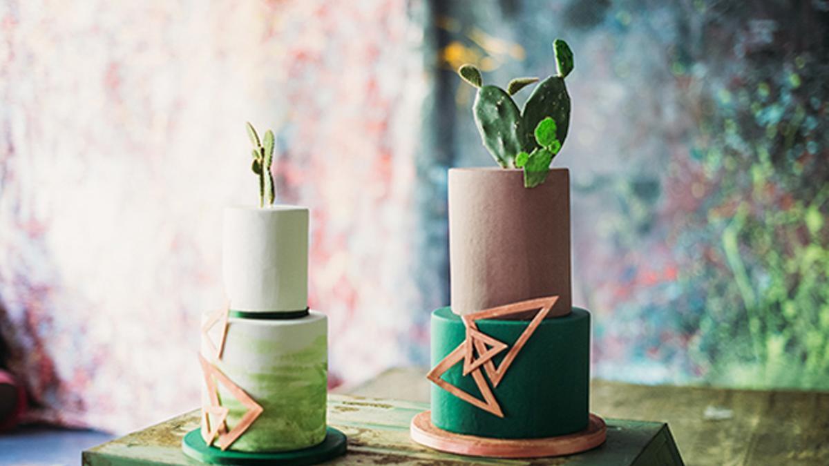 Viste tu boda con cactus: Doble 36