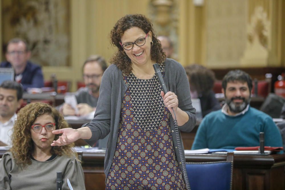 Pleno del Parlament 26 de febrero de 2019