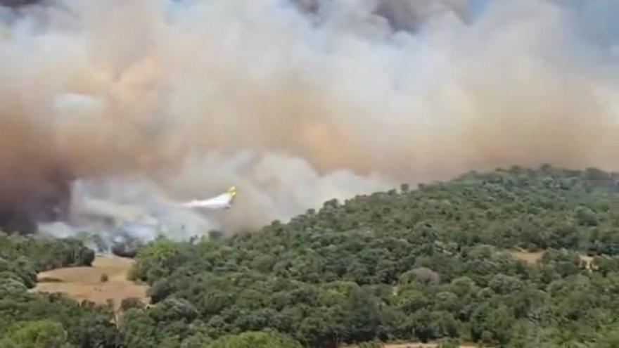 Incendi al peu de les Gavarres a la Bisbal