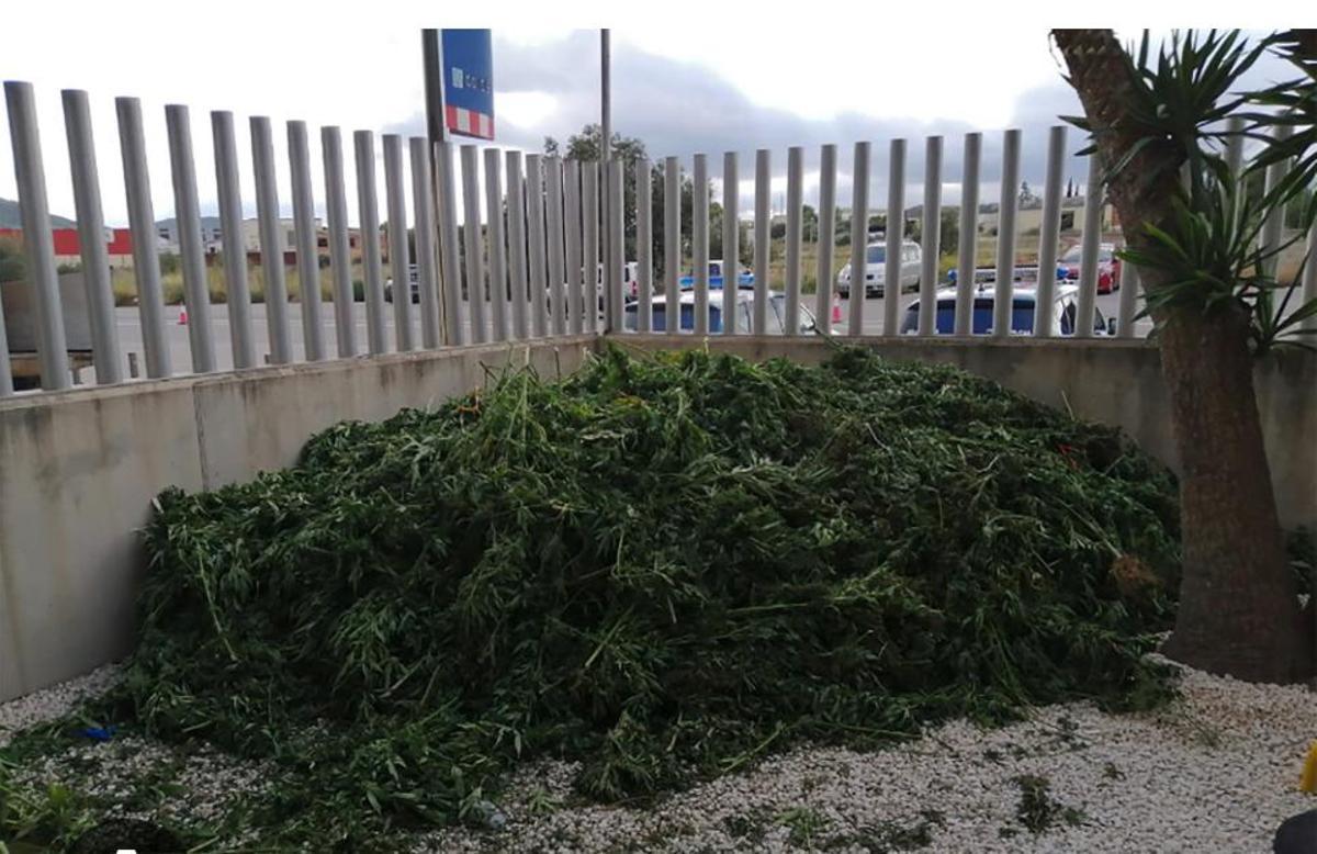 Marihuana amontonada en una comisaría de los Mossos.