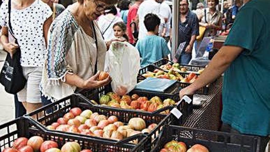 Mercat del tomàquet amb productors bagencs