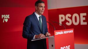 "Por dignidad personal y respeto al electorado, Sánchez debería convocar nuevas elecciones"
