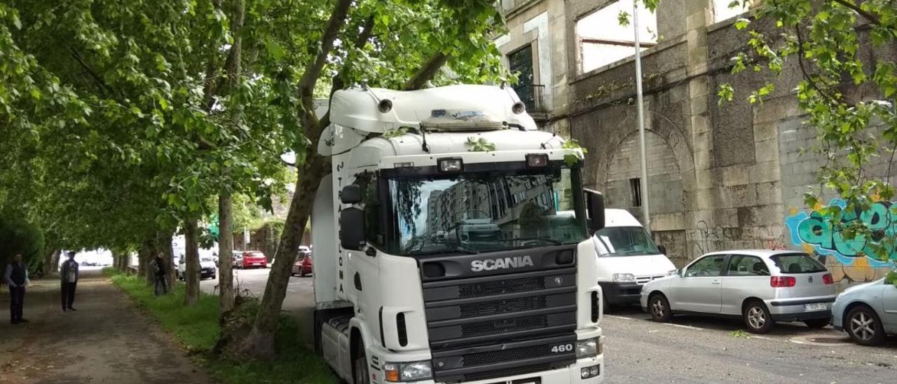 Sucesos en Vigo | Un árbol 