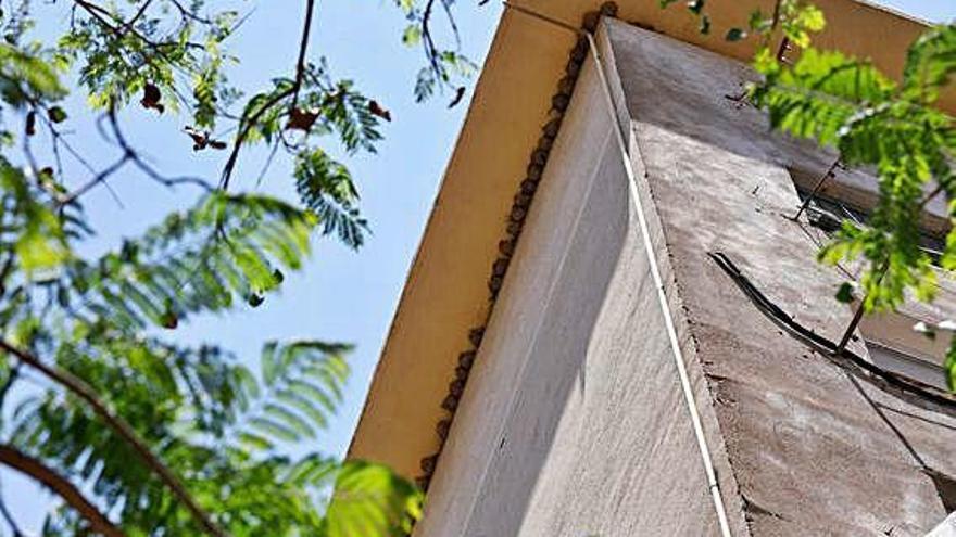 Hilera de nidos de golondrina en la fachada del edificio, ubicado en la avenida Miguel de Cervantes.