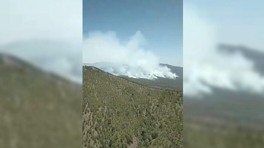 Se trabaja en la zona de Güímar para frenar el avance del incendio de Tenerife
