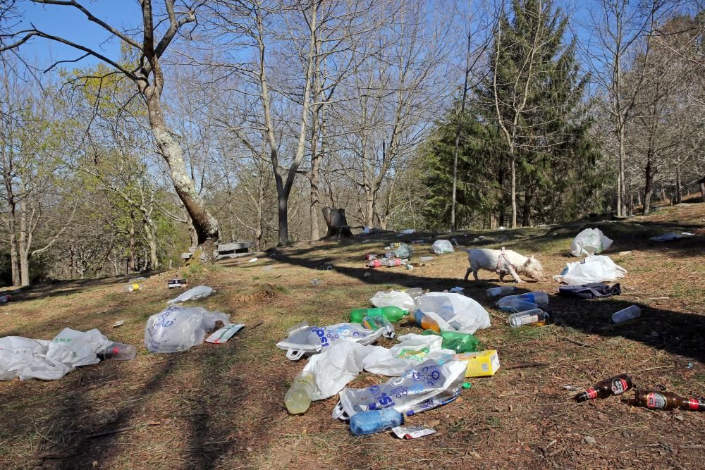 El botellón convierte en estercolero el parque forestal de Beade, en Vigo