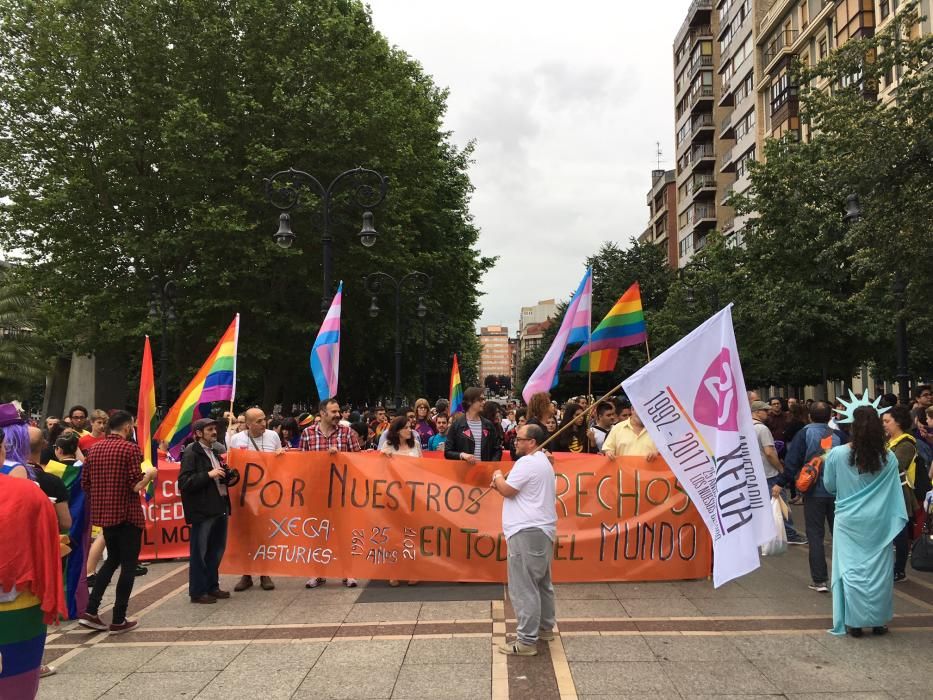 Manifestación del Orgullín del Norte.