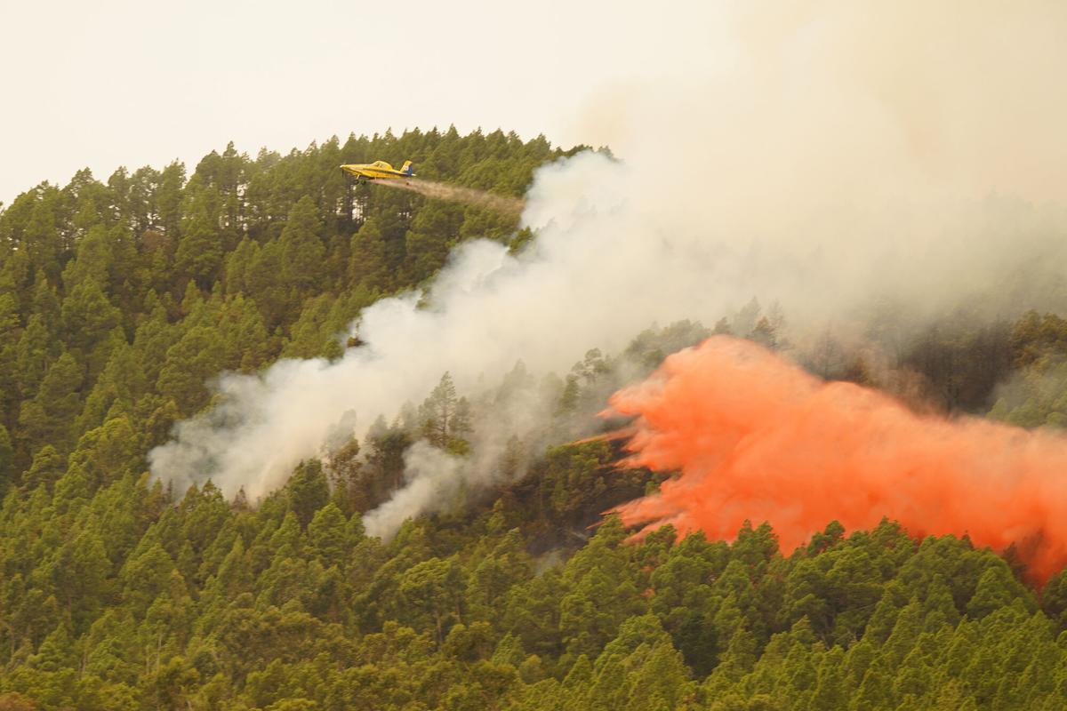 Un hidroavión lanza agua sobre el incendio forestal en las inmediaciones del municipio de El Rosario, a 17 de agosto de 2023, en Tenerife, Santa Cruz de Tenerife, Canarias (España). El incendio forestal declarado en la zona de monte en Arafo se encuentra "fuera de control" cuando lleva casi dos días activo, tiempo en el que ha quemado más de 2.600 hectáreas en un perímetro que alcanza los 31 kilómetros y que ha provocado la evacuación y el confinamiento de más de 7.600 personas en las últimas 34 horas. El fuego afecta principalmente a los municipios de Arafo, Candelaria, Santa Úrsula, La Matanza, El Rosario y La Orotava. Para intentar atajar el fuego trabajan más de 258 efectivos de Servicio de Protección Civil y Atención de Emergencias del Gobierno de Canarias y la UME. 17 AGOSTO 2023;INCENDIO;INCENDIO FORESTAL;LABORES DE EXTINCIÓN;FUEGO;CALOR;BOMBEROS;HUMO;AGUA;LLAMAS; Europa Press 17/08/2023. Europa Press