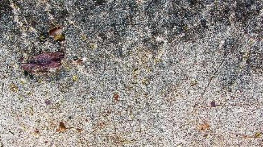 Grafitis del siglo XVII en la cartuja del Puig