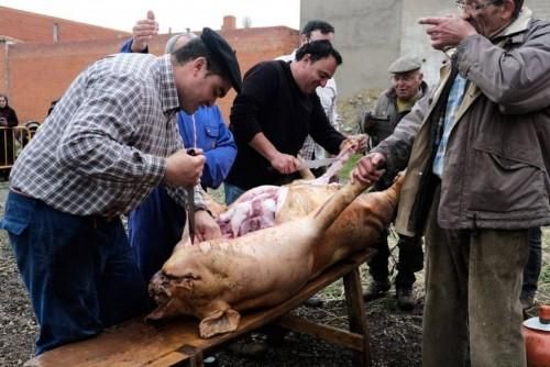 Matanza tradicional en Monfarracinos