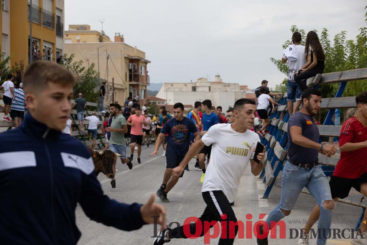 Chupinazo y encierro chico en Calasparra