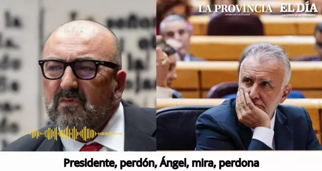 Un audio de Koldo al ministro Torres propició uno de los negocios de la trama corrupta en Canarias