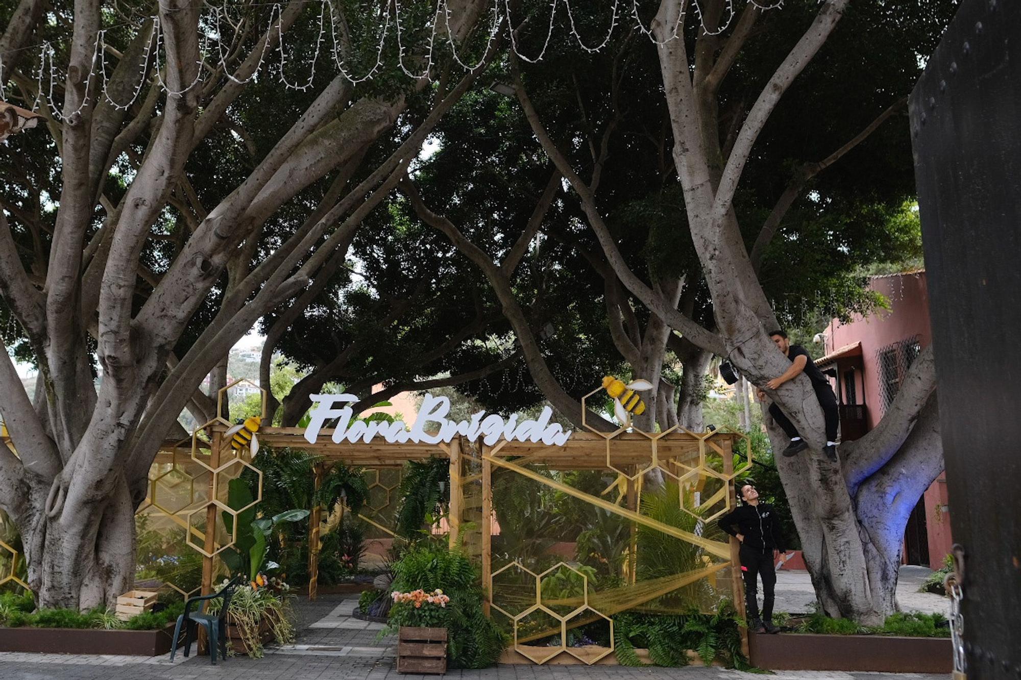  Exposición de flores ‘Florabrígida’ 