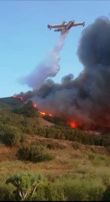 Imágenes del incendio de La Palma