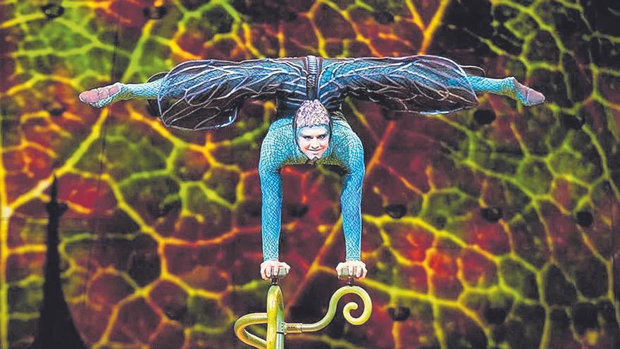 Los insectos del Circo del Sol aterrizan en Gran Canaria en su 25º aniversario