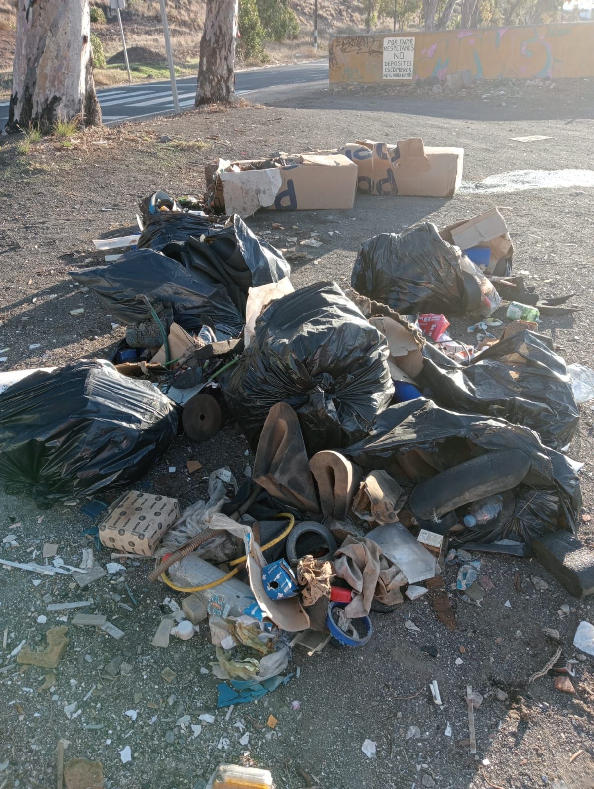 Escombros depositados en diferentes zonas del municipio de Telde
