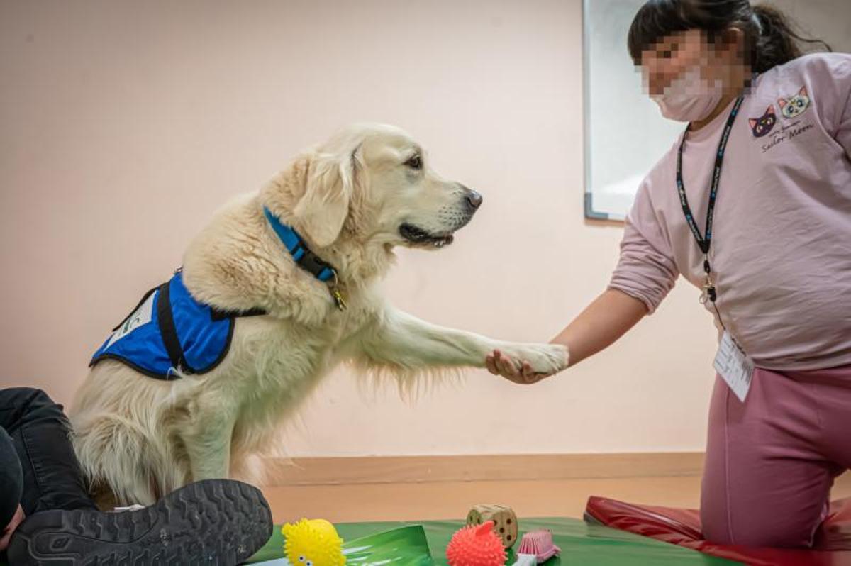 Terapia con perros, en el hospital de día de niños, en el Clínic