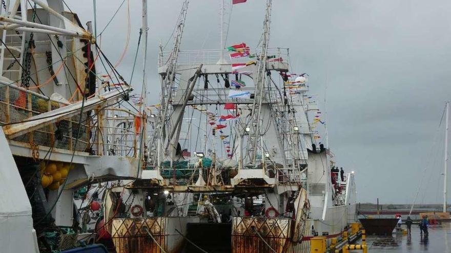 Un barco de Pereira en el puerto de Malvinas antes de inicar la campaña este año. // Penguin News