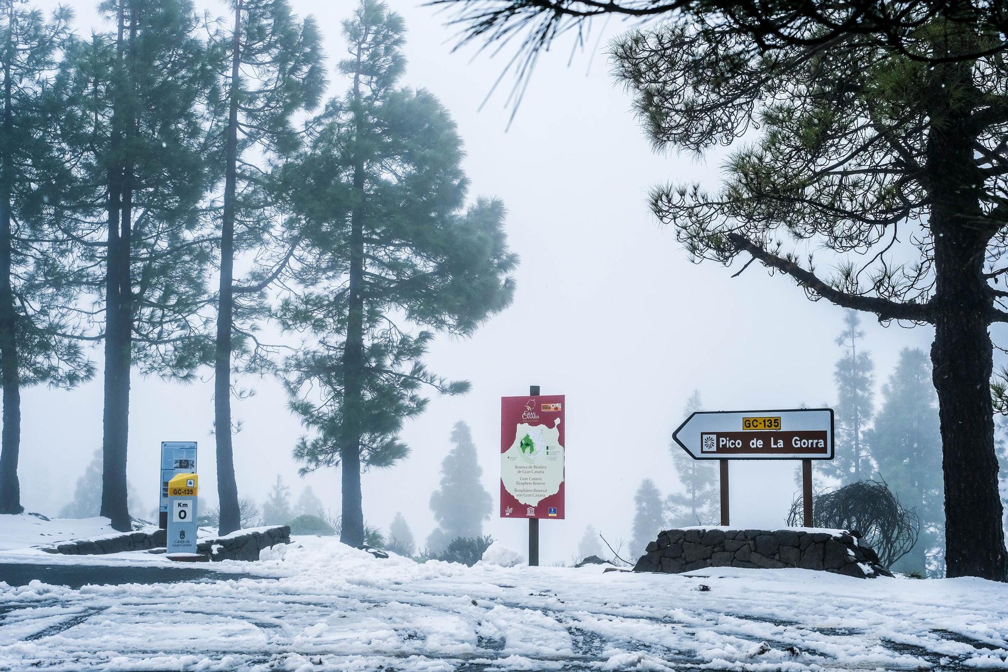 Nieve en la cumbre de Gran Canaria (15/03/2022)