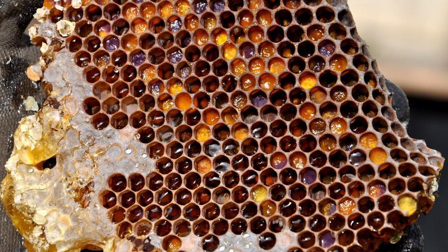 Los murcianos consumen 104 kilos de miel cada hora